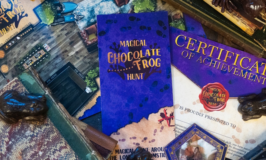 Image 5: Witchcraft & Potions Experience