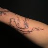 Image 3: Half Day or Full Day Tattoo Sessions for Custom Designs