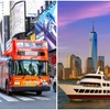 Image 1: Double Views: NYC Night Bus Tour and Free Statue of Liberty Day Cruise
