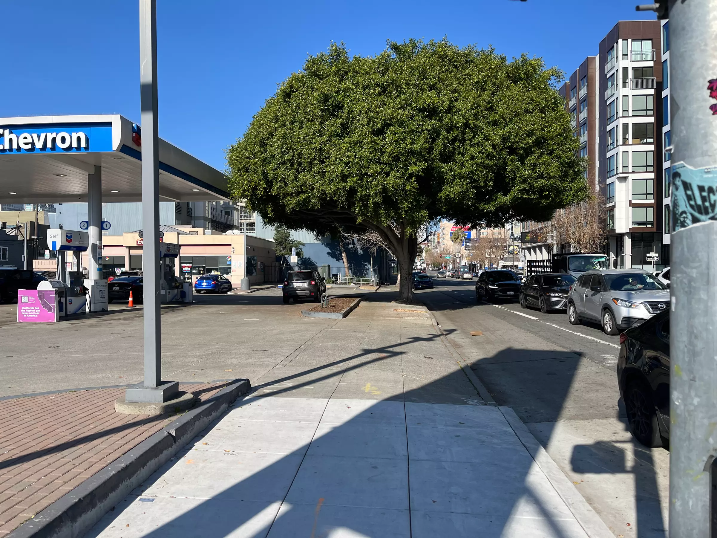 Quick and Comprehensive Smog Check for 2000 and Newer Cars