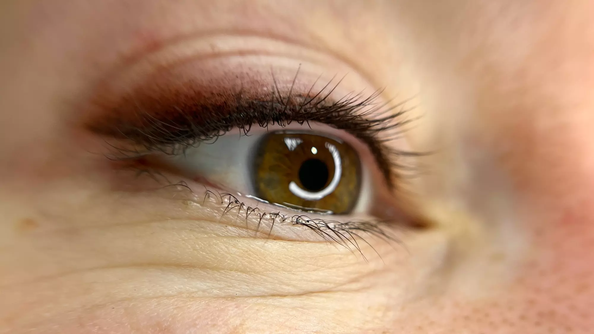 Enhance with One Powdered Brows Session with Optional Touch Up