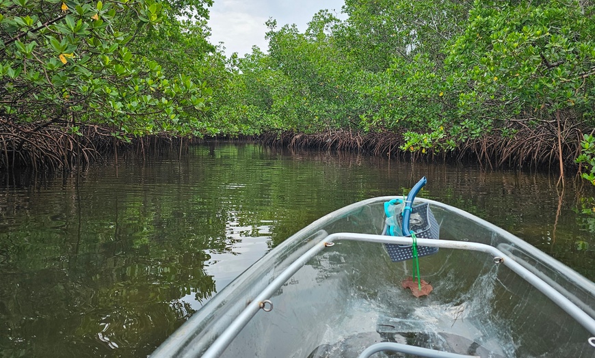 Image 2: Up to 12% Off on Kayaking at Watersports Now LLC
