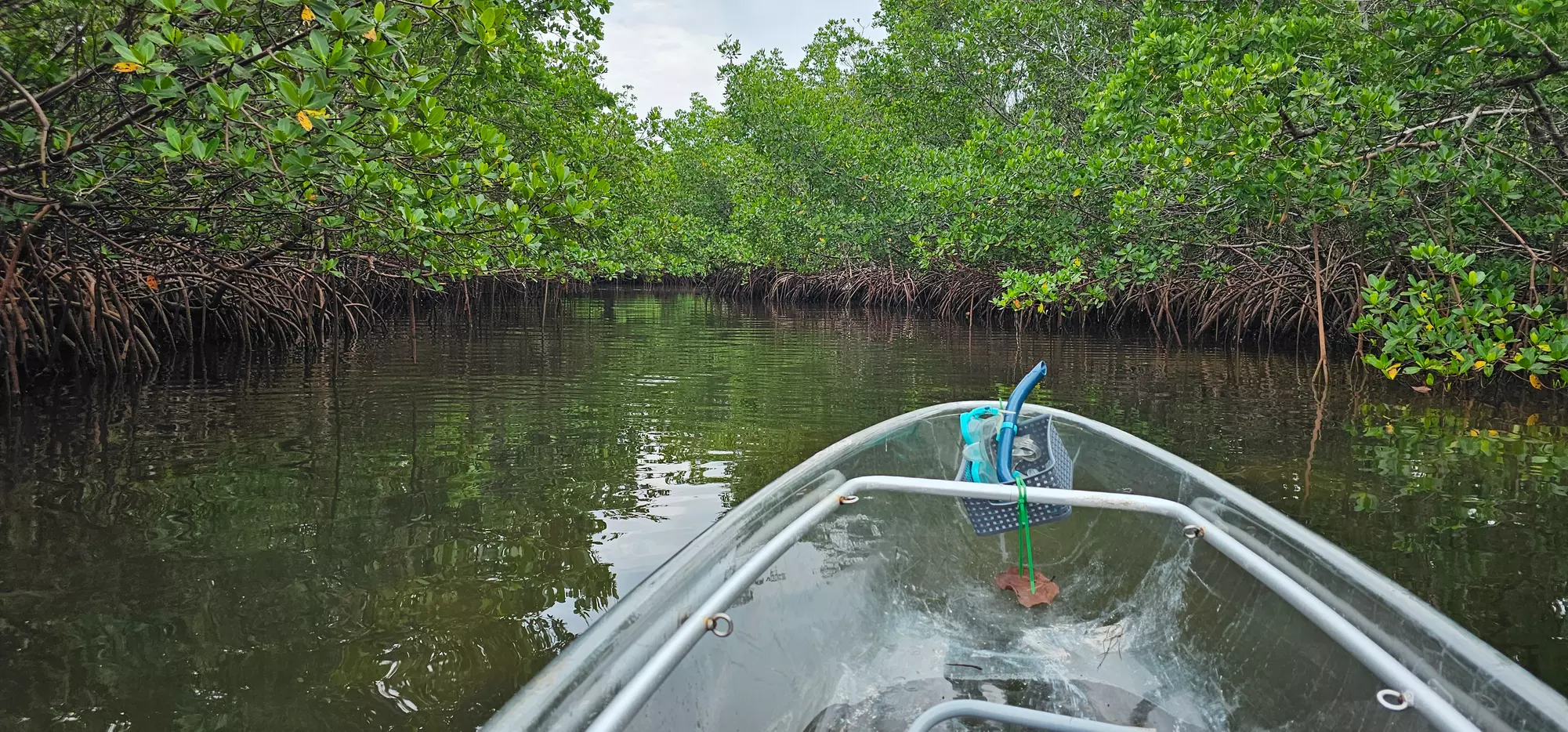 Up to 12% Off on Kayaking at Watersports Now LLC