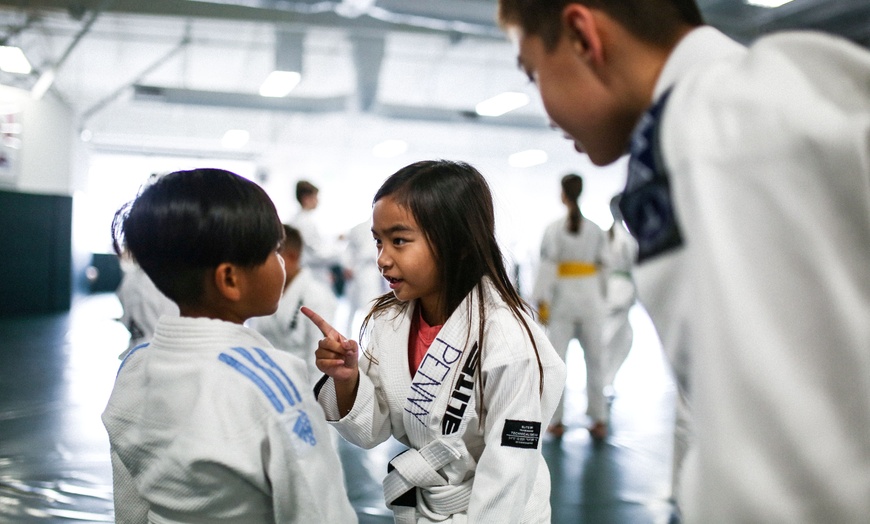 Image 2: Up To  70% Off on Ten Day Trial or One Month of Kids Classes with Uniform at Gracie Ju-Jitsu