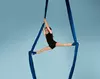 Explore aerial fitness at The Apollo Center with classes for youth and teen/adults, up to 58% off. Discover a unique workout!