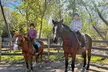 Gallop into Fun with Resolute Farm! Enjoy 1, 3, or 5 Private 30-min Horseback Riding Lessons! (Up to 55% Off) - Second Medium
