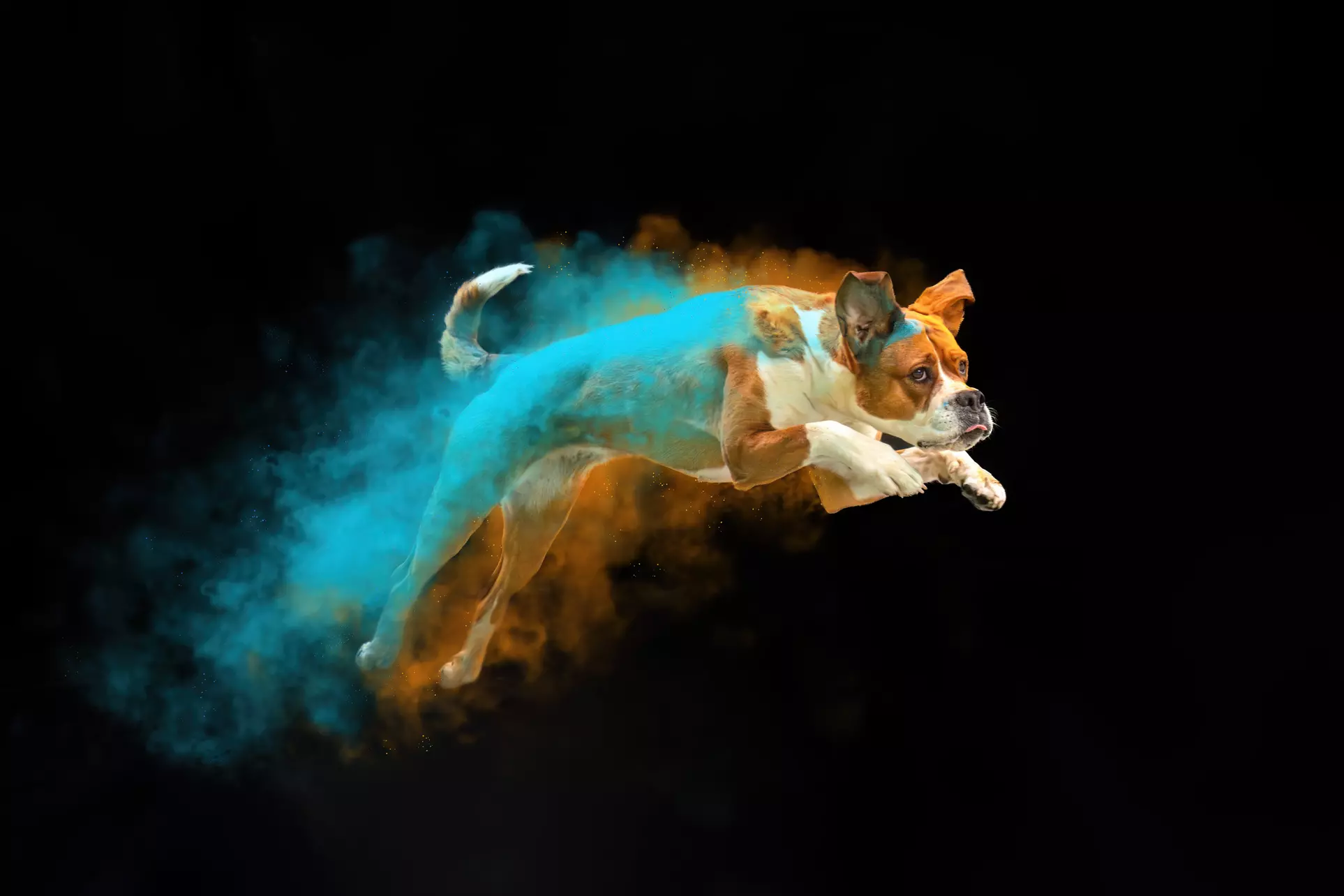 30 Min. Holi-Fotoshooting inkl. 3 - 5 Bilder