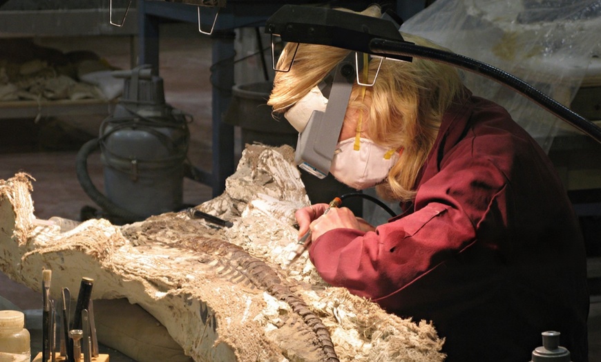 Image 9: Guided Day Trip to Drumheller Badlands & Dinosaurs – From Calgary