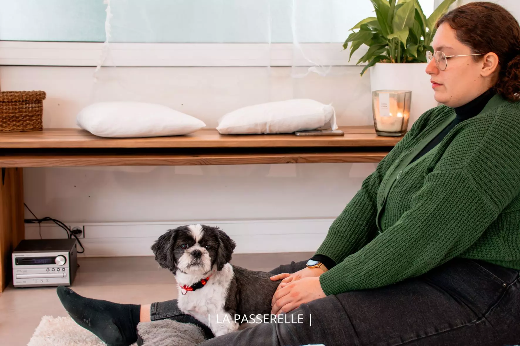 Soin Reiki animal ou communication animale avec La Passerelle