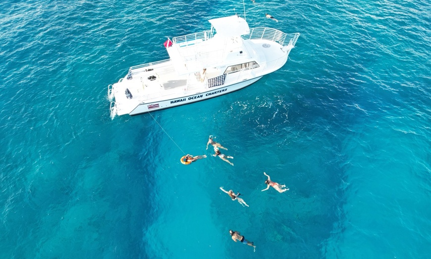 Image 9: Small Group Guided Turtle Snorkel in Waikiki (16-person max)