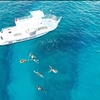 Image 9: Small Group Guided Turtle Snorkel in Waikiki (16-person max)
