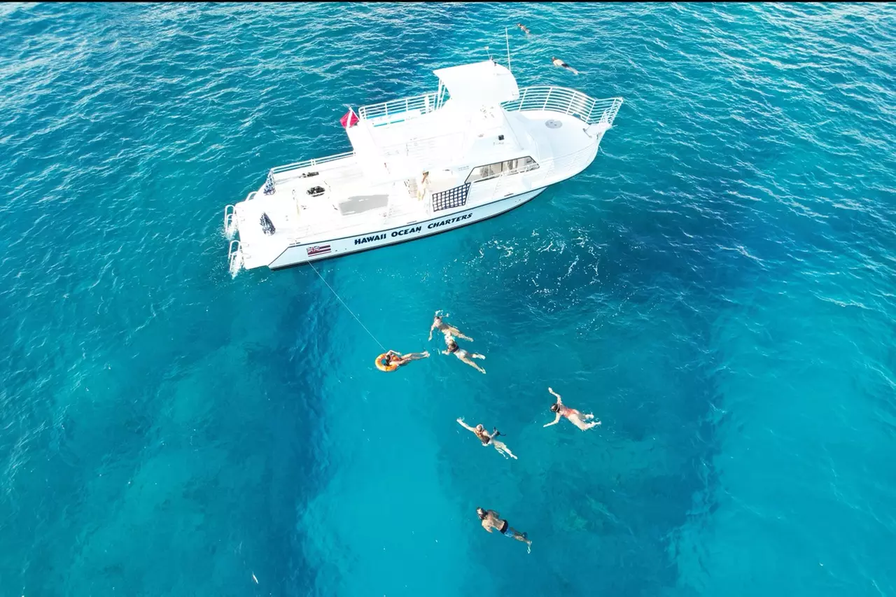Guided Green Turtle Snorkel in Crystal Clear Hawaiian Waters