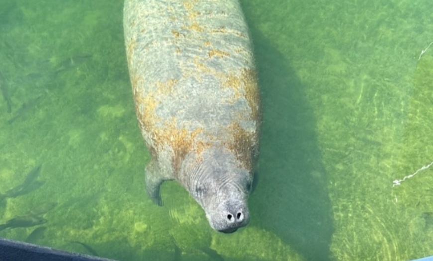 Image 10: Guided Kayak or SUP Eco-Tour – Geiger Key, Key West