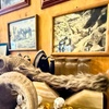 Image 4: Wild West Ghost Town & River Adventures