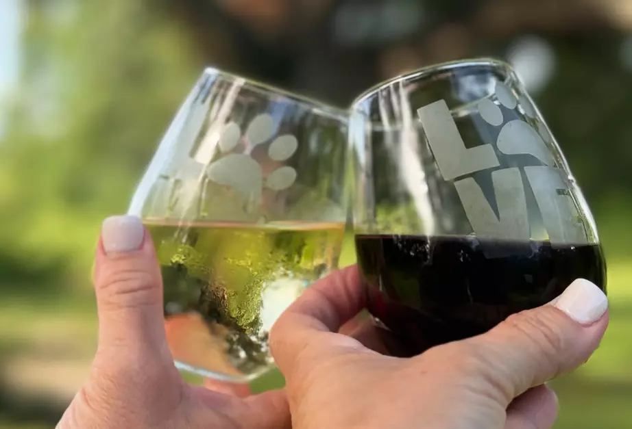 Exclusive Wildlife Adventure: VIP Sunset Tour & Exotic Animal Feeding