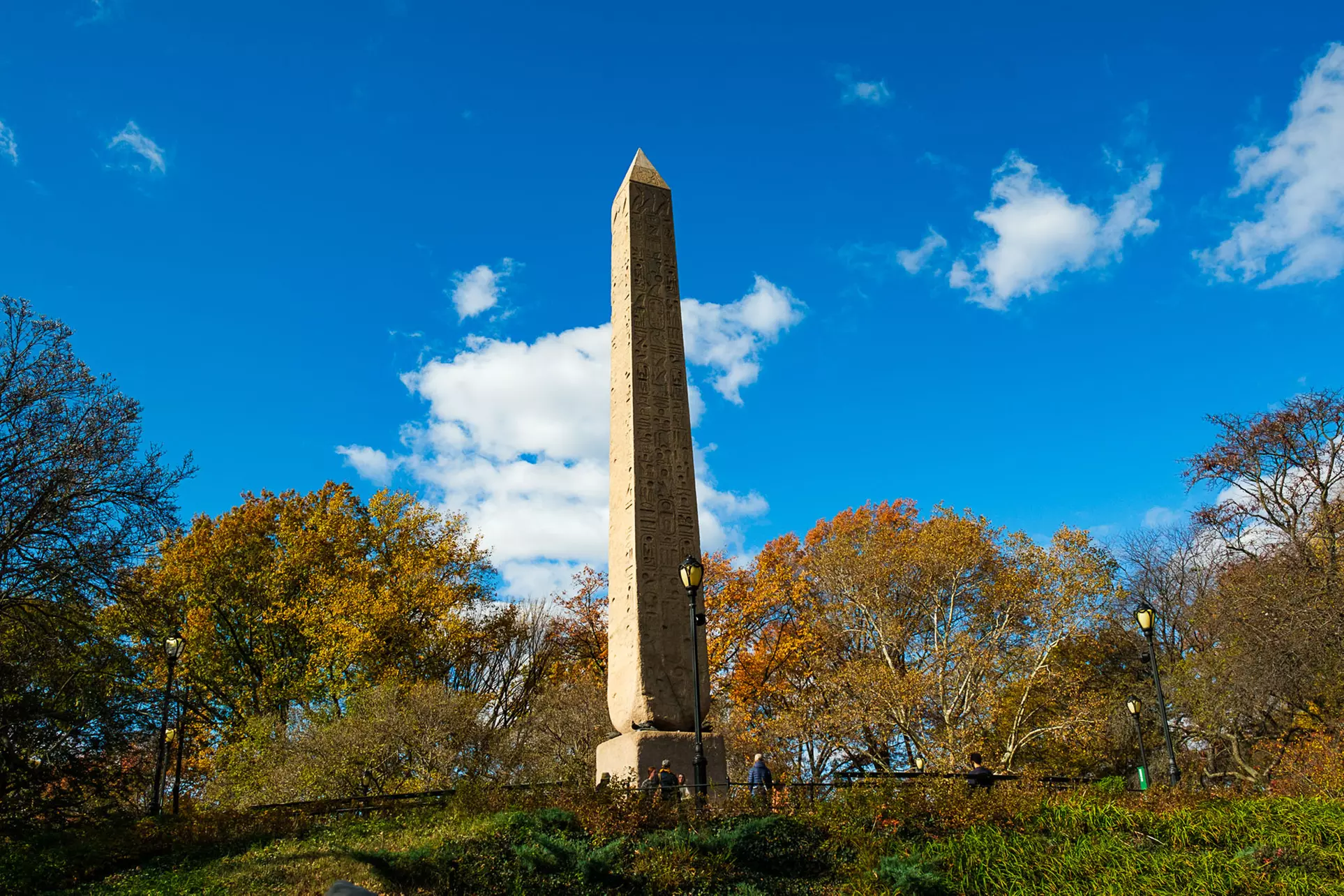 Up to 54% Off on Experience NYC's Central Park Pedicab Tours