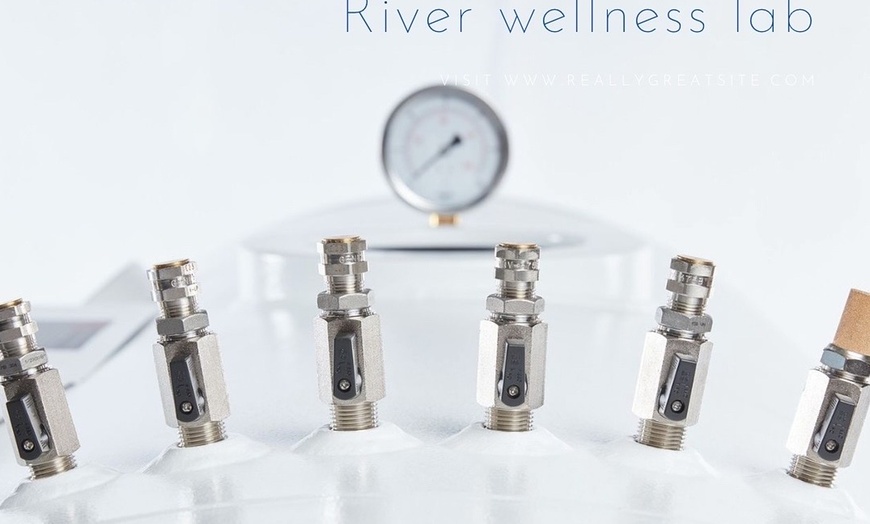 Image 8: Up to 44% Off on Oxygen Bar at River Wellness Lab