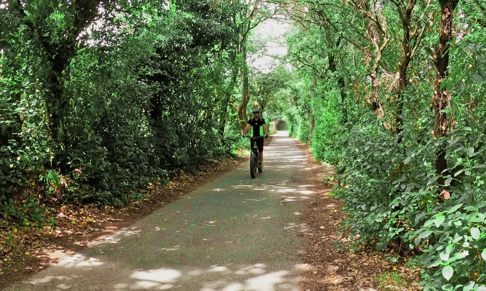 Jusqu'à 41% de remise sur Vélo / Deux roues / Bicyclette - Location chez TROTT EMOTION