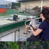 Image 7: Everglades Airboat Ride & Alligator Show with Miami Transportation