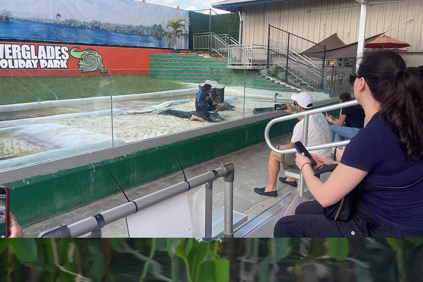 Everglades Airboat Ride & Alligator Show with Miami Transportation