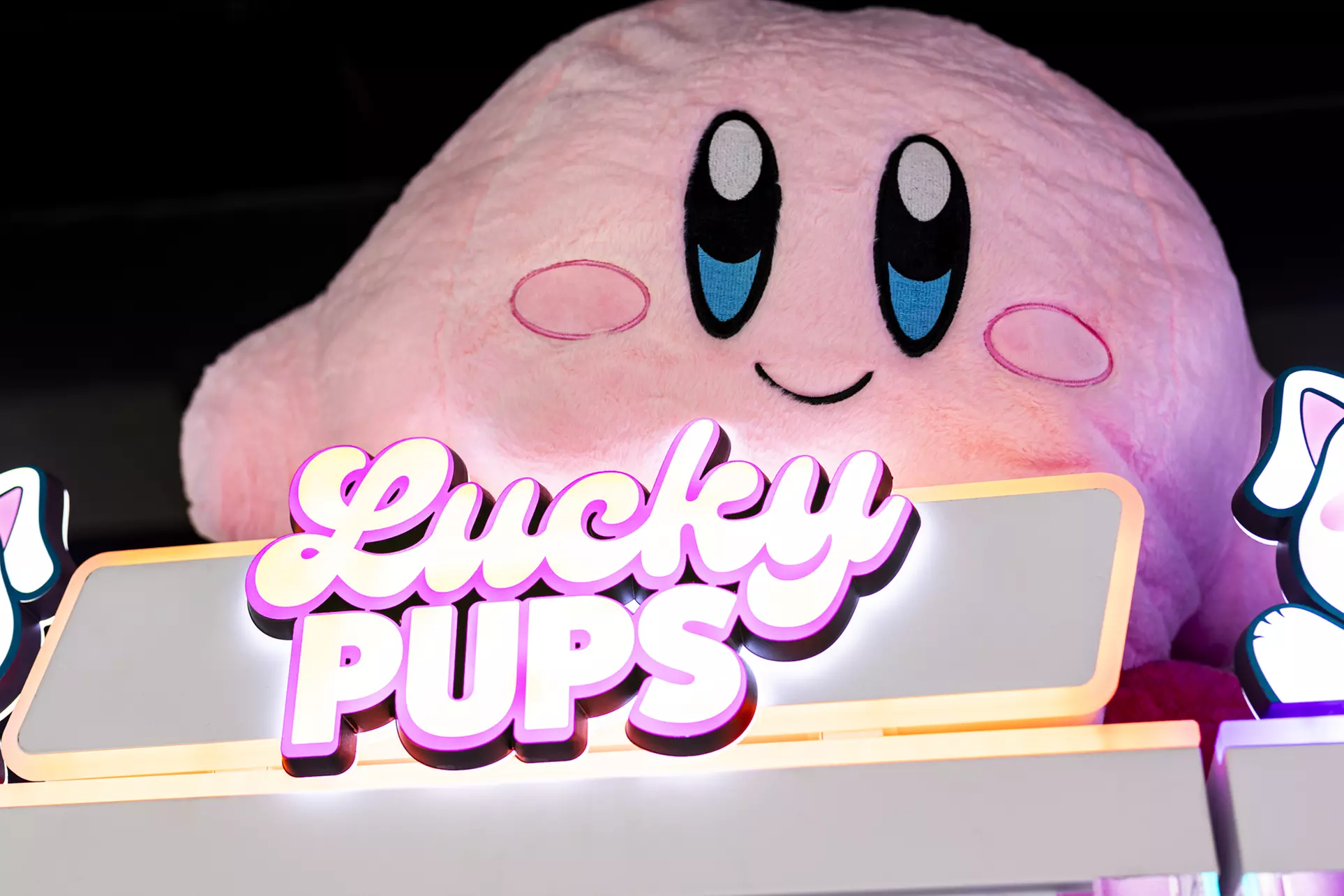 Claw Machine Arcade in Houston – Win Adorable Prizes!