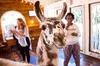 Find Your Zen: 90-Minutes Llama Yoga & Interactive Alpaca & Llama Encounters for 1, 2 or 4 at Atlanta Alpaca Treehouse