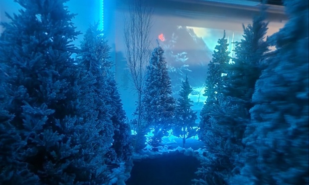 What to expect media