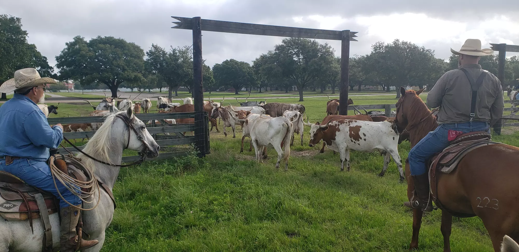 General Admission for One, Two, or Four Adults to George Ranch Historical Park (Up to 42% Off) - Primary Image