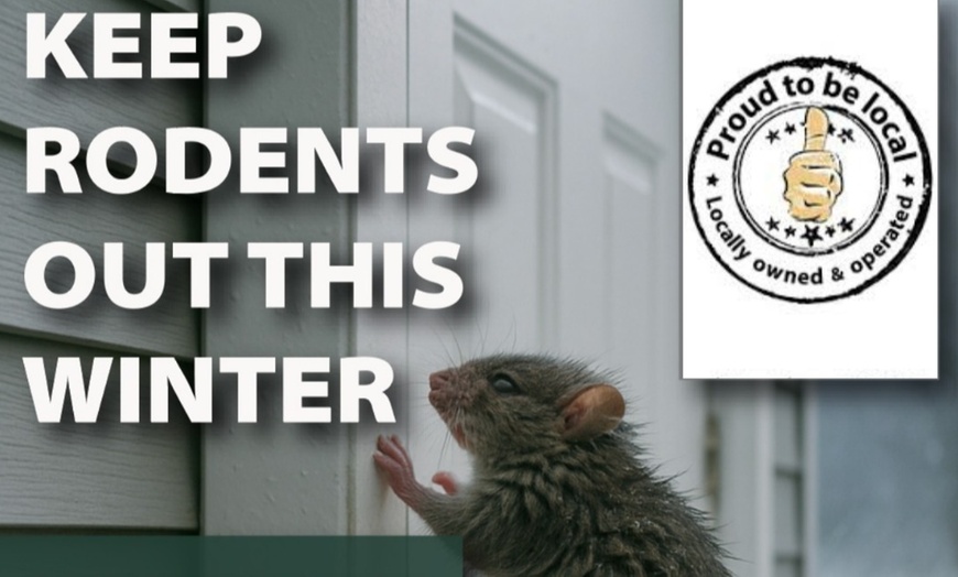 Image 4: Interior & Exterior Rodent, Insect Pest Control For Up To Five Rooms!