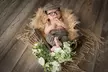 Capture Precious Moments: 30–45 Min Newborn Studio Shoot + 3 High-Res Digital Images (Up to 61% Off) - Second Medium
