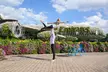 Peace Land Travel & Tourism: Dubai Miracle Garden + Aquarium Combo for One, Two, or Four Adults (Upto 12% Off) - Image 2