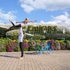 Image 2: Nature & Ocean Wonders: Dubai Miracle Garden + Dubai Aquarium Combo