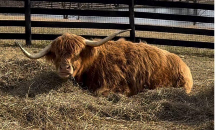 Image 6: Brewery Selections: Beer Flight for 1, 2, or 4; Valid Any Day
