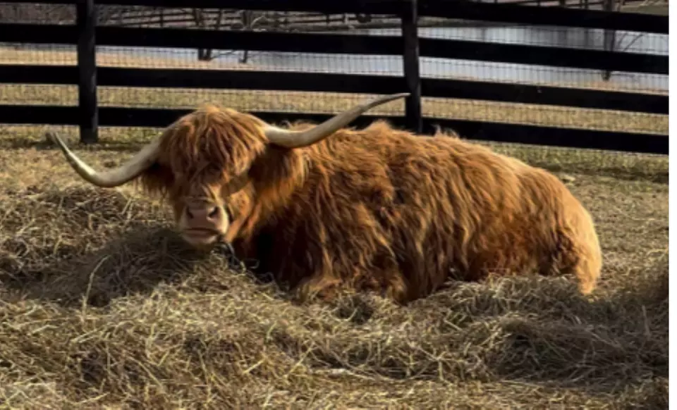 Brewery Selections: Beer Flight for 1, 2, or 4; Valid Any Day