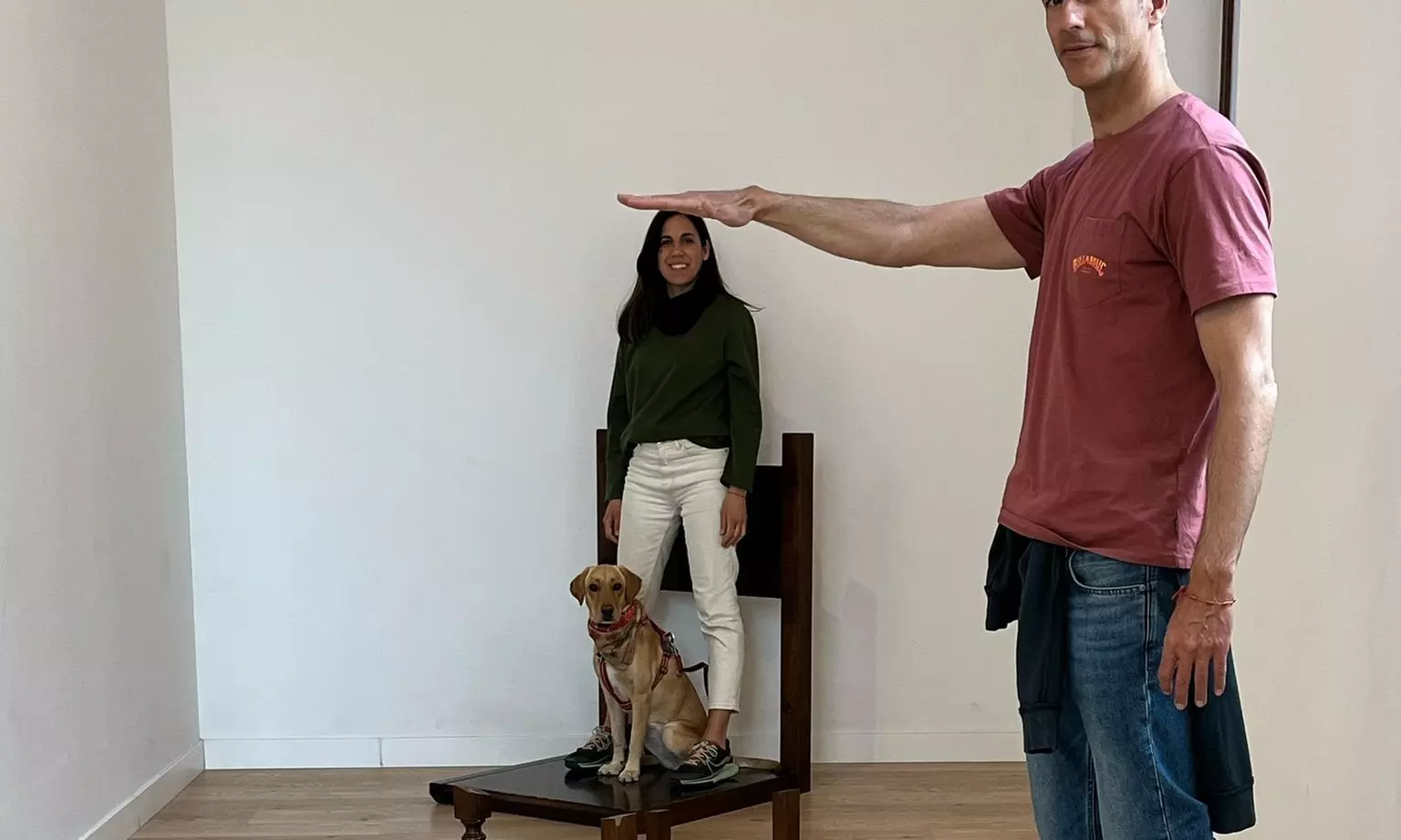 Entrada a Museo Iluziona Toledo con actividad de realidad virtual