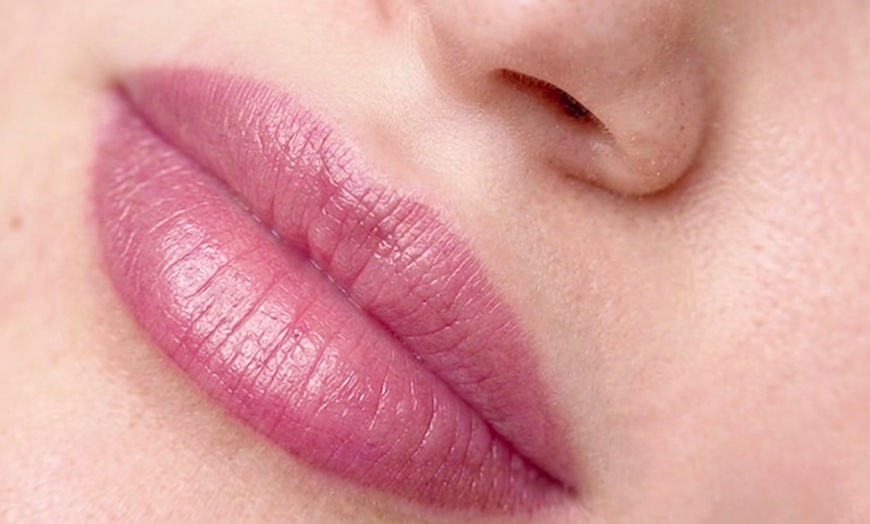 Image 12: Ombre Powder Brows or Lip Blushing Session