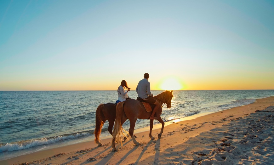 Image 1: Capture Memories with 60 or 90 Minute Outdoor Photography Session