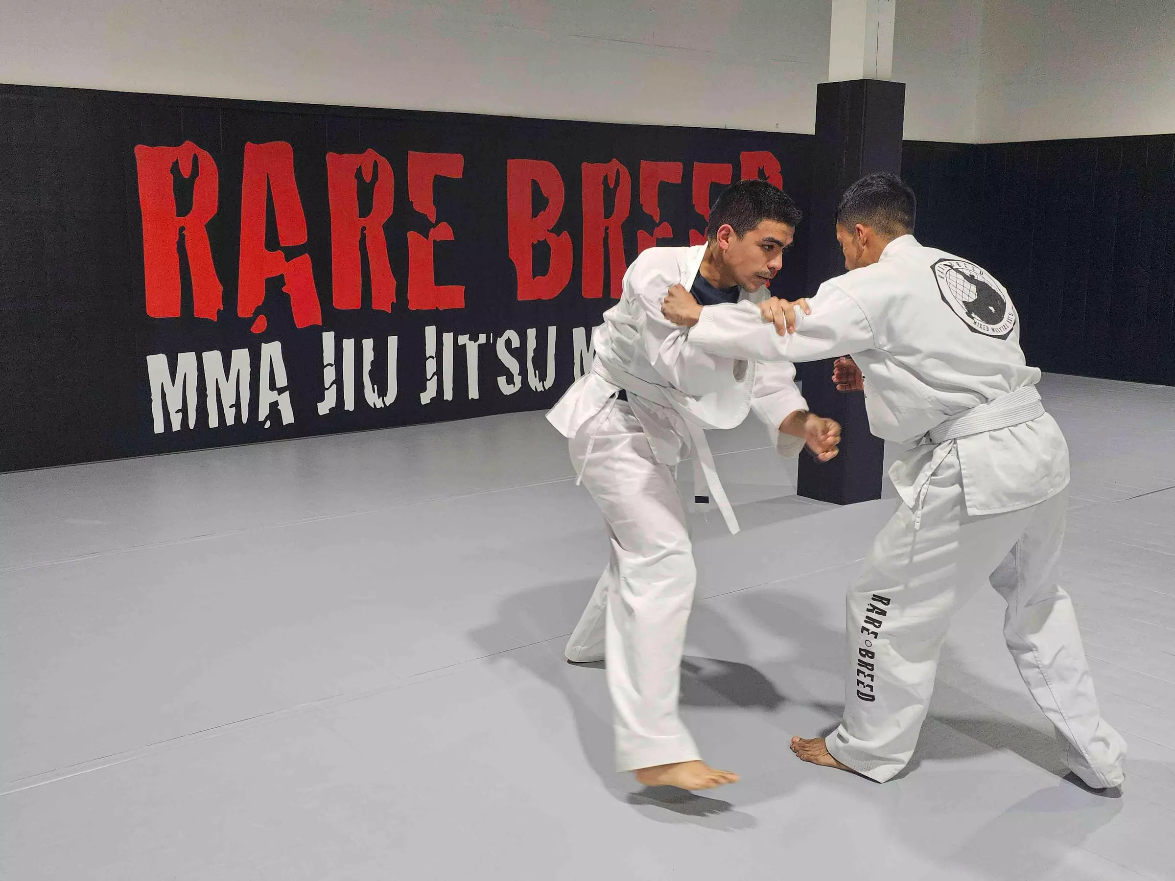 Up to 70% Off on Martial Arts / Karate / MMA at Rare Breed MMA - Primary Image