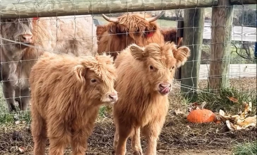 Image 7: Brewery Selections: Beer Flight for 1, 2, or 4; Valid Any Day
