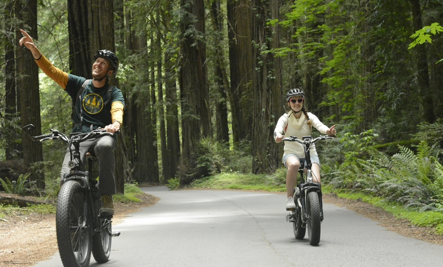 Image 2: Escape to Redwoods: 2-Hr Private E-Bike Tour - Up to 4, 5 or 6 Riders 