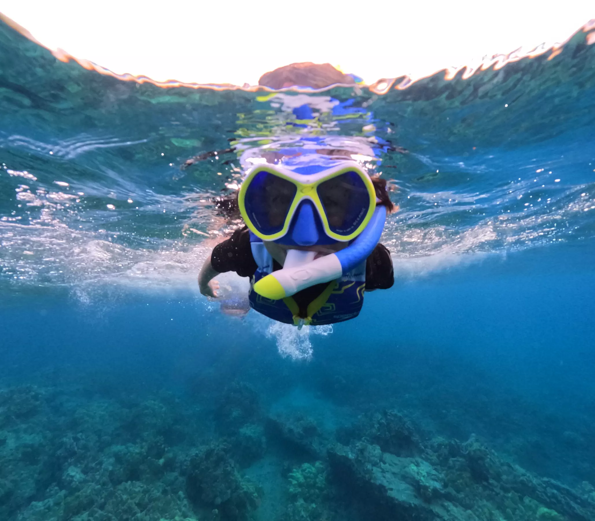 Clear Kayak & Snorkel Tour at Turtle Town, Maui