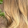 Image 5: Haircut and Blow Dry with Optional Highlights or Partial Balayage