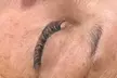 Hibridas, Technological, 3D/6D Volume Full Set, or Lash Lift Treatment (Up to 55%Off) at EduBrows Studio - Second Medium