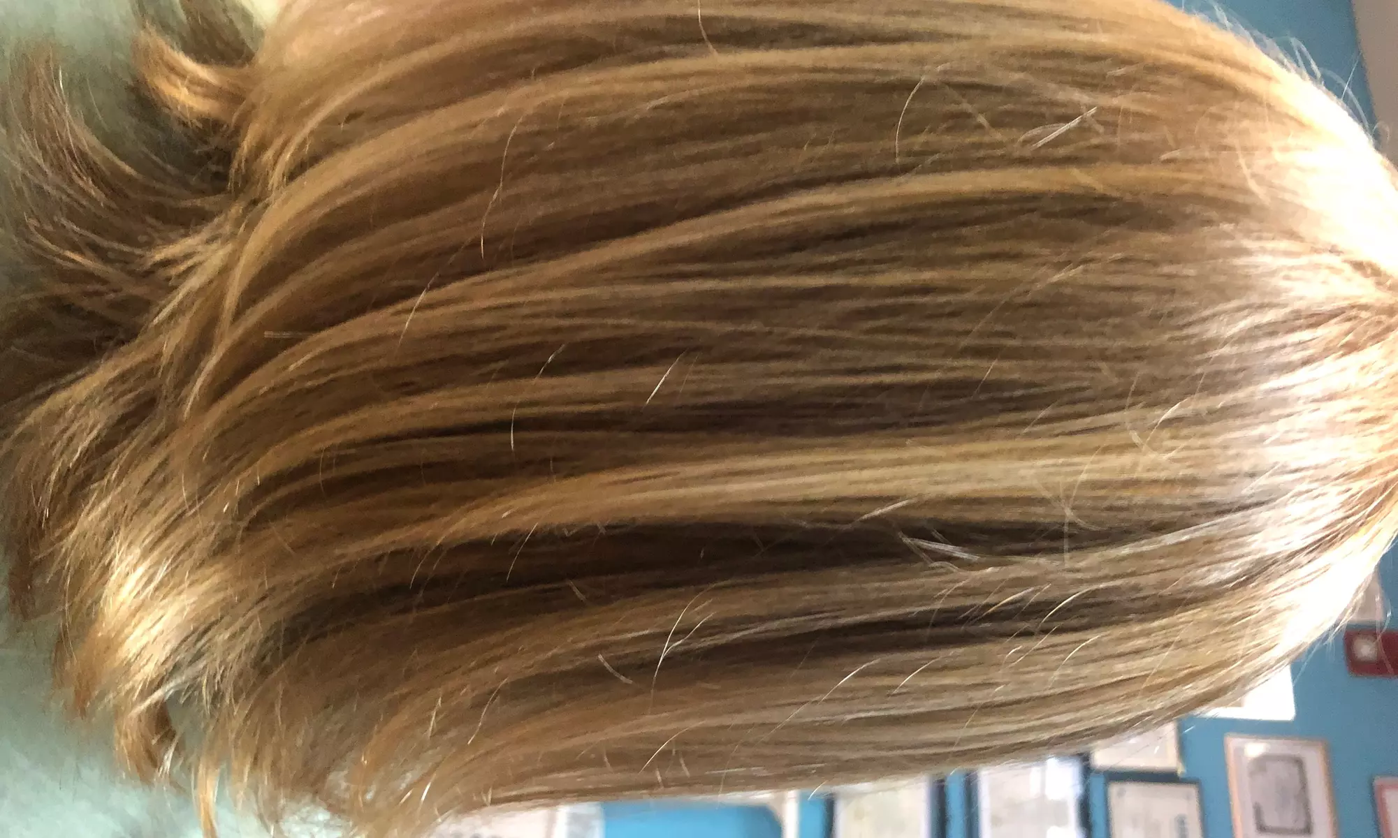 Pamper Yourself: Hair Cut with Optional Blow Dry and 1 Hair Treatment