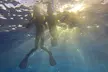 (Up to 58% Off) Unforgettable Snorkel Adventure for up to Six People at Banzai Divers Hawaii - Second Medium
