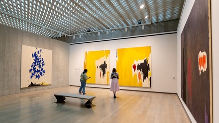Admission For One Adult - Clyfford Still Museum