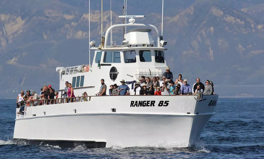 Image 3: Embark on a Whale-Watching Cruise for One, Two or Four people