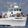 Image 3: Embark on a Whale-Watching Cruise for One, Two or Four people