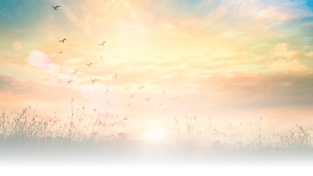 Channeled Q&A Session - Luna Soul Awakening