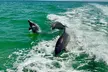 4-Hour Boat Tours, Up to 6 People Visit Sandbars, Islands & Eco Tours at Salty breeze boat tours (Up to 37% Off) - Second Medium